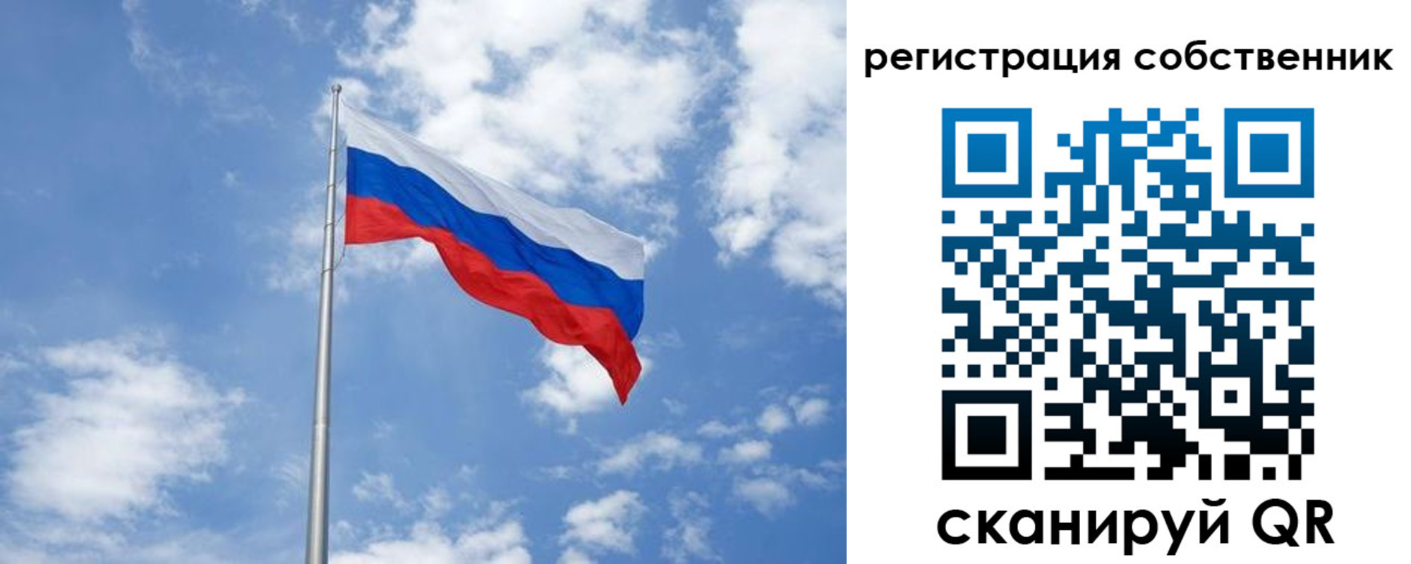 прописка для школы в Сафоново